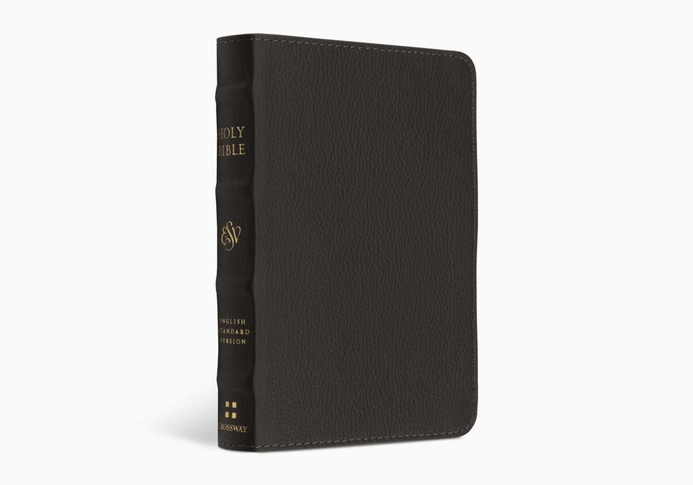 ESV Compact Bible - Buffalo Leather, Deep Brown