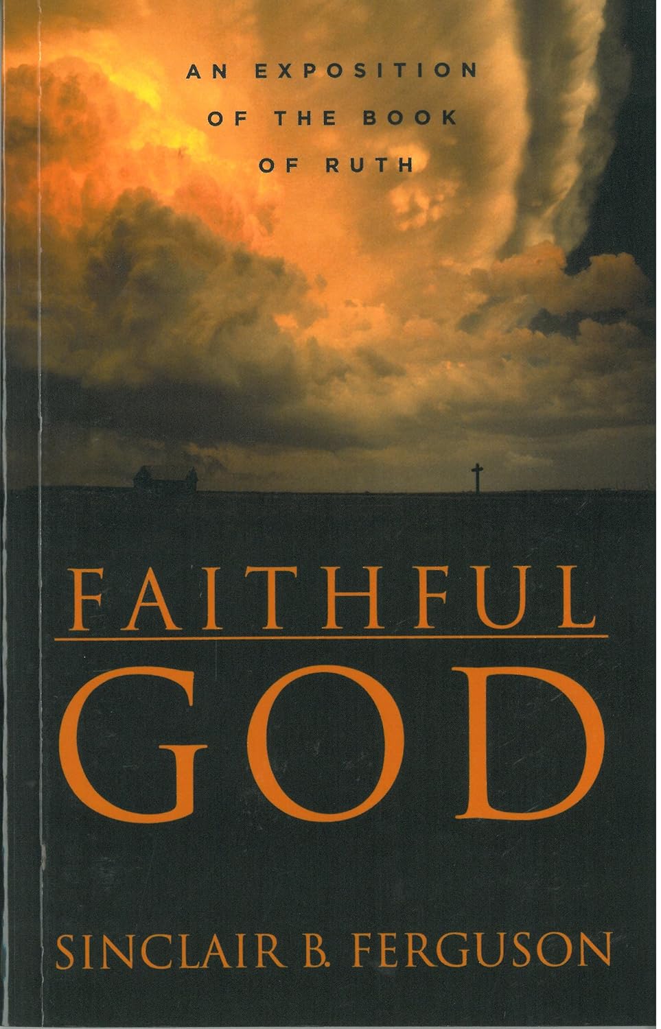 Faithful God: An Exposition of the Book of Ruth (Ferguson)