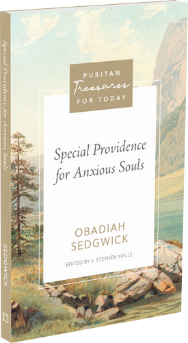 Special Providence for Anxious Souls (Sedgwick)