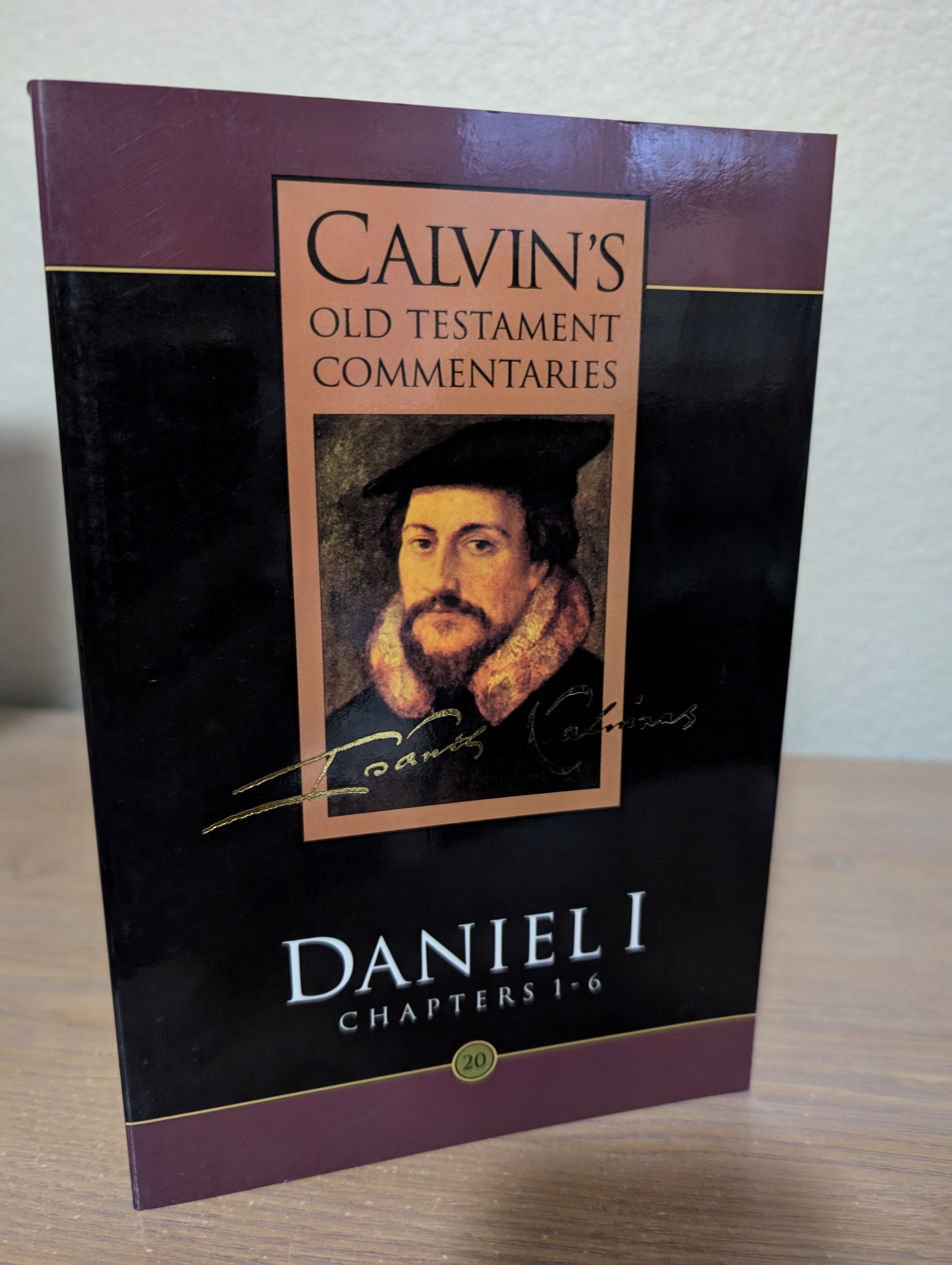 USED -  Daniel: Chapters 1-6 (Calvin)  USED