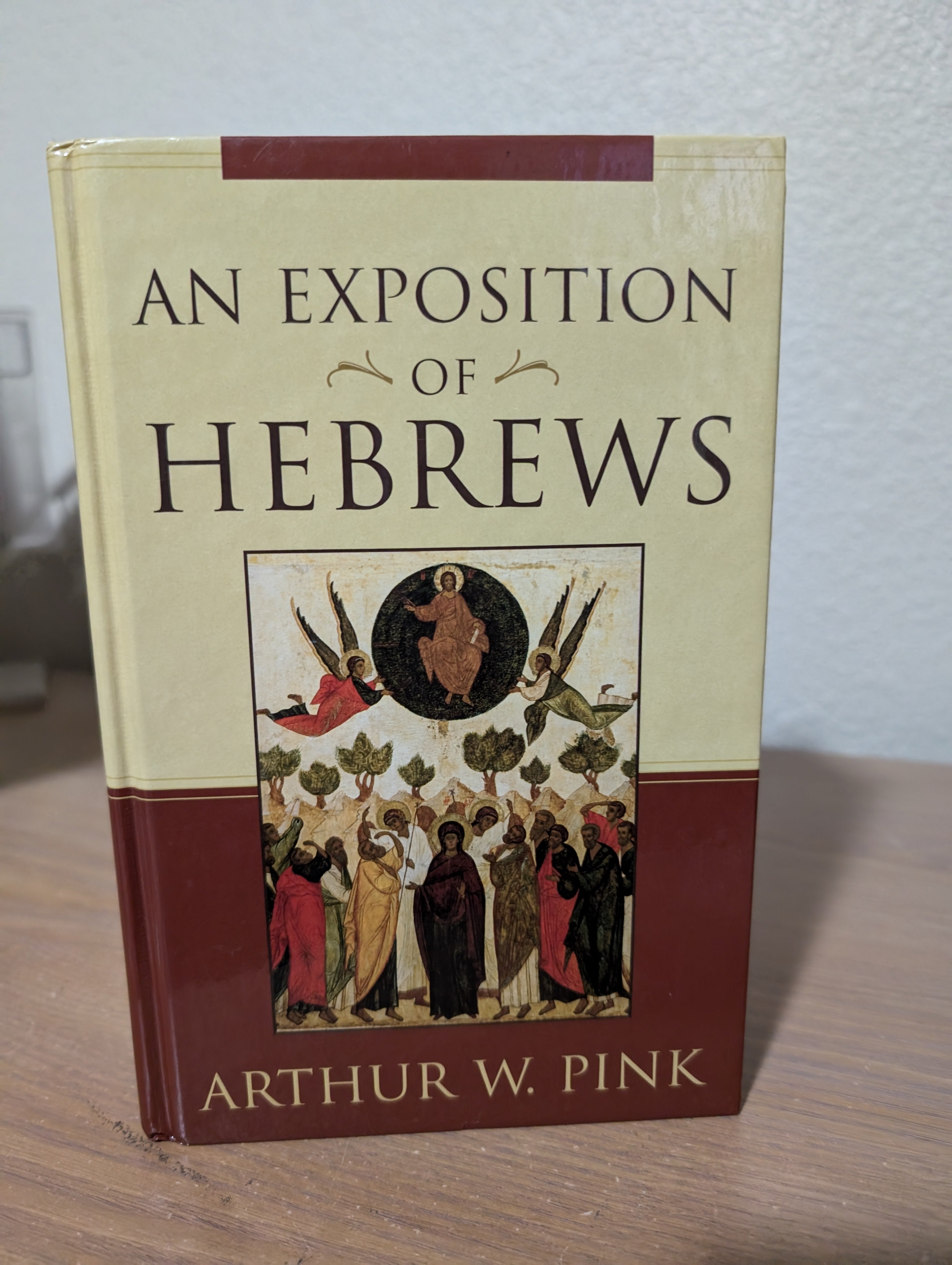 USED - An Exposition of Hebrews (Pink)   USED