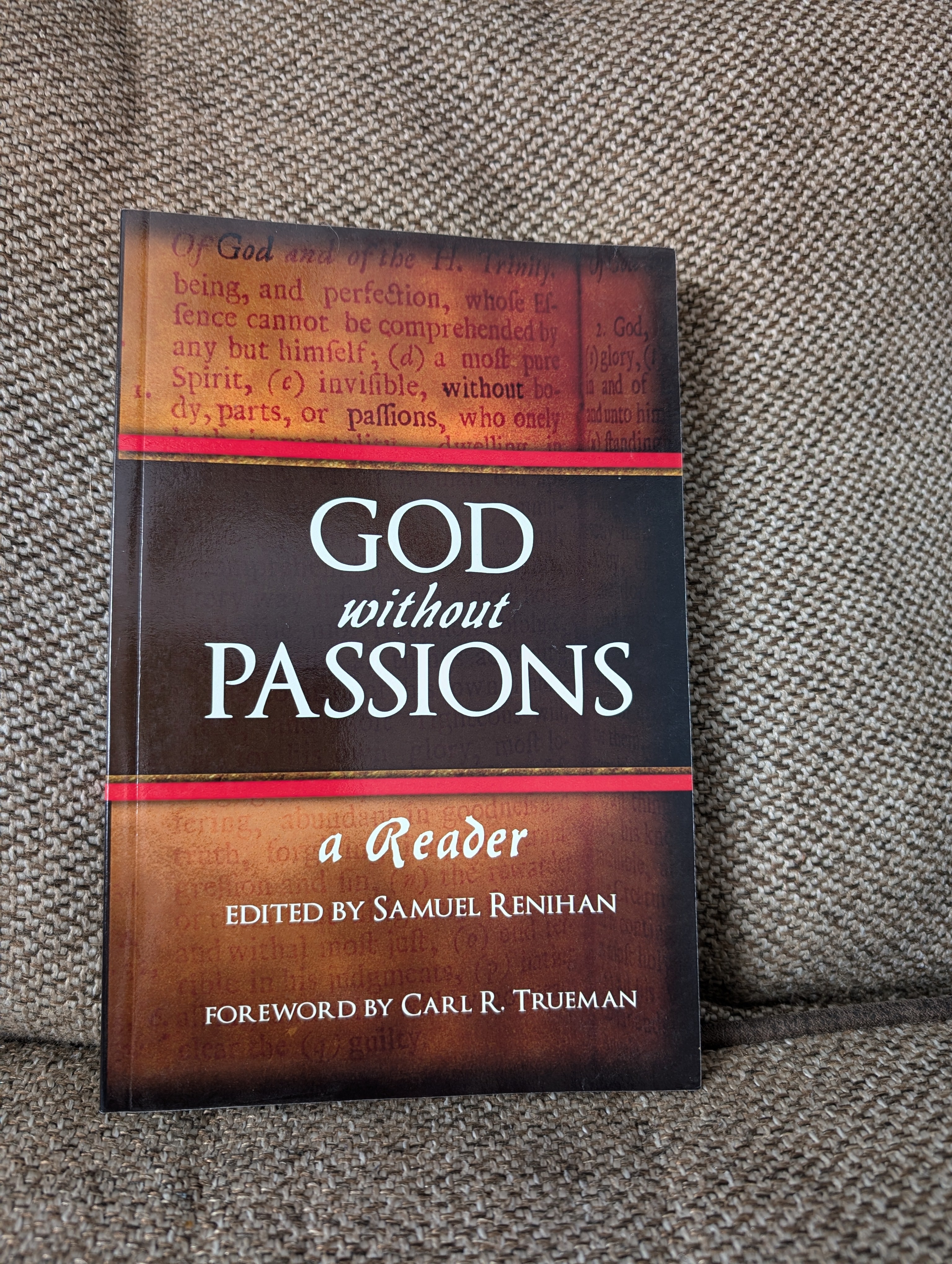 USED - God Without Passions (Forwarded by Carl R. Trueman) - USED