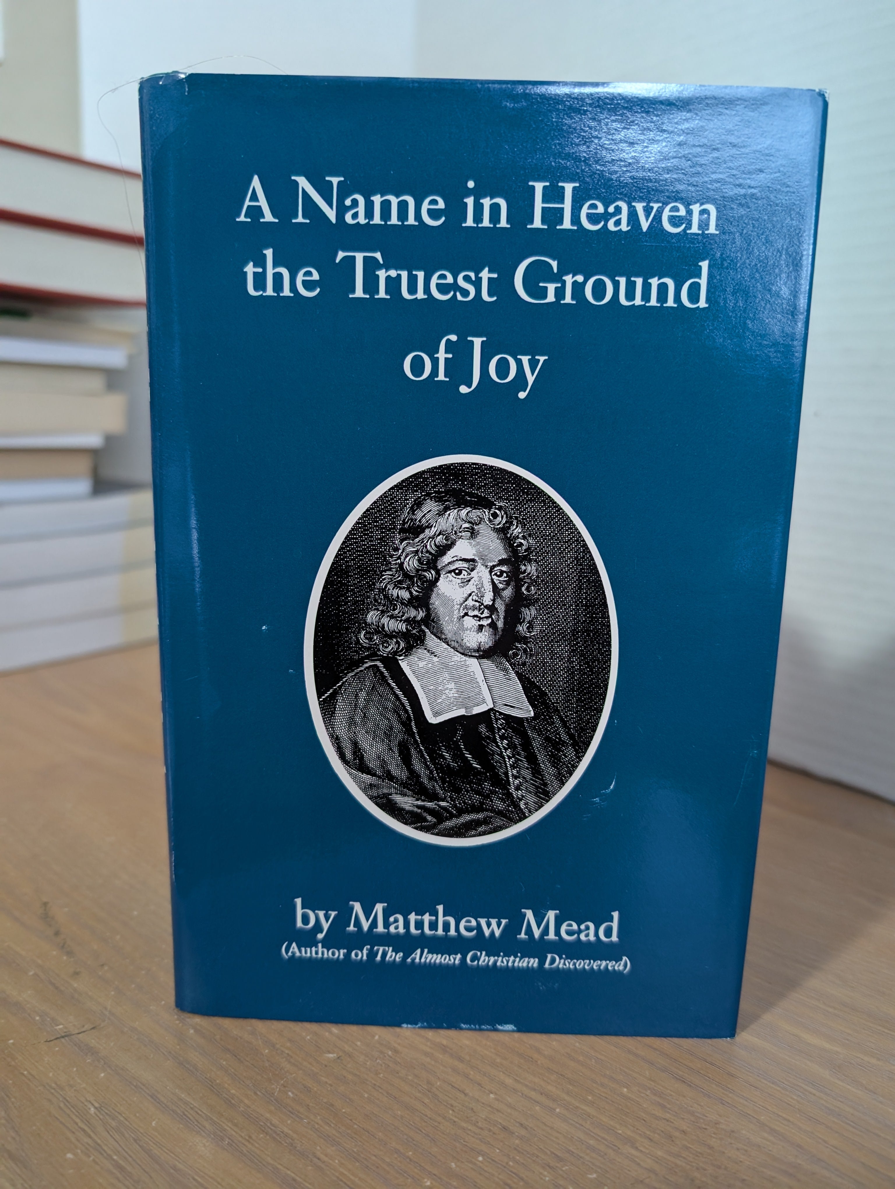 USED A Name in Heaven The Truest Ground of Joy (Matthew Mead) - USED