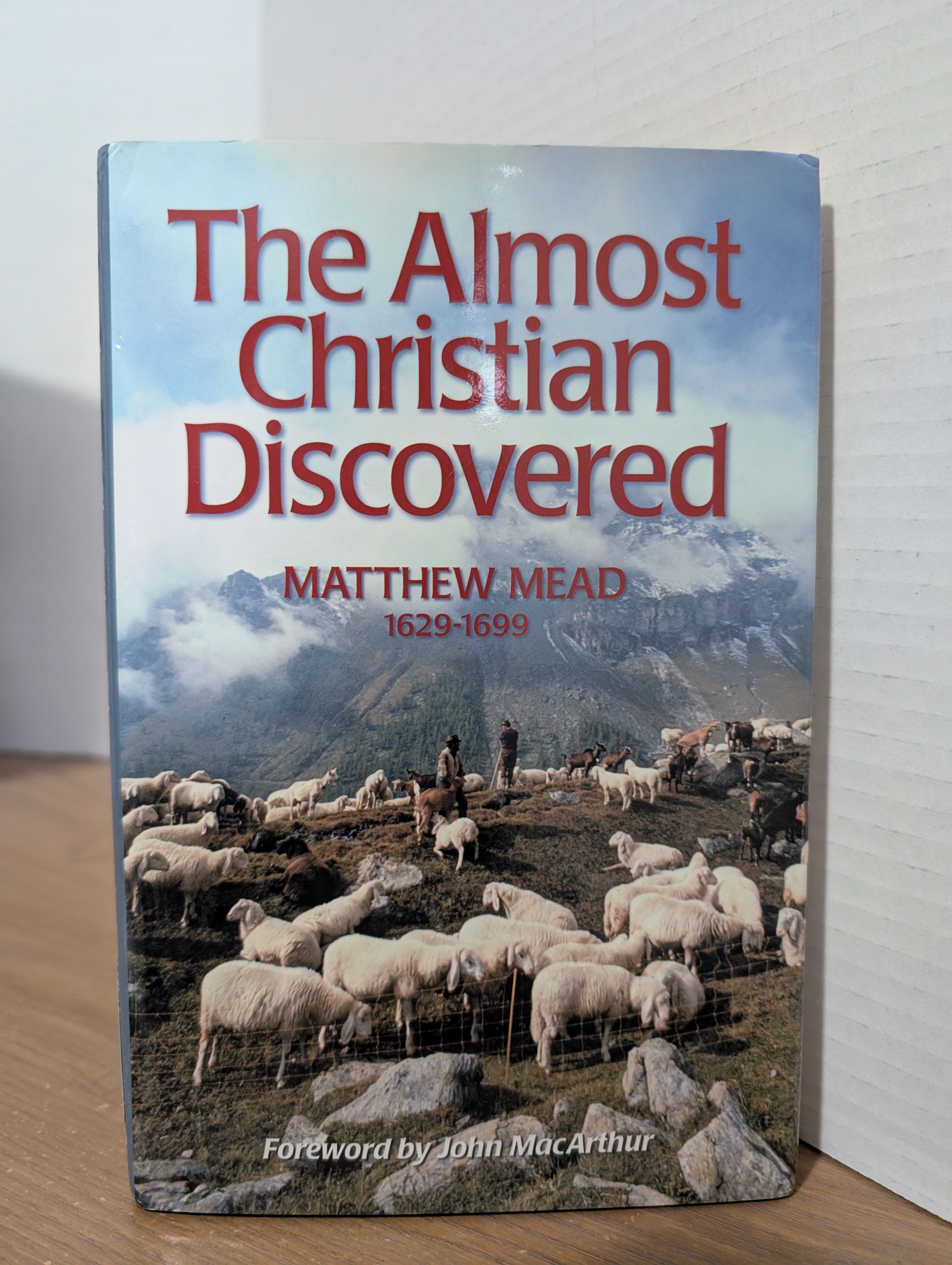 USED - The Almost Christian Discovered (Mead)   USED