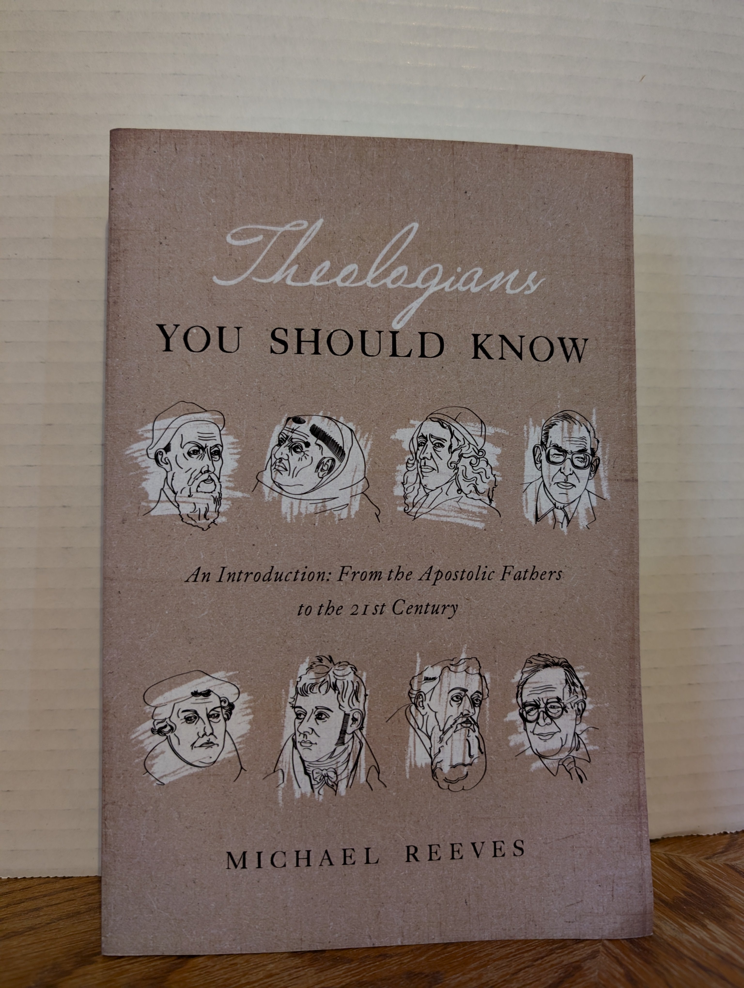 USED - Theologians You Should Know (Michael Reeves) - USED