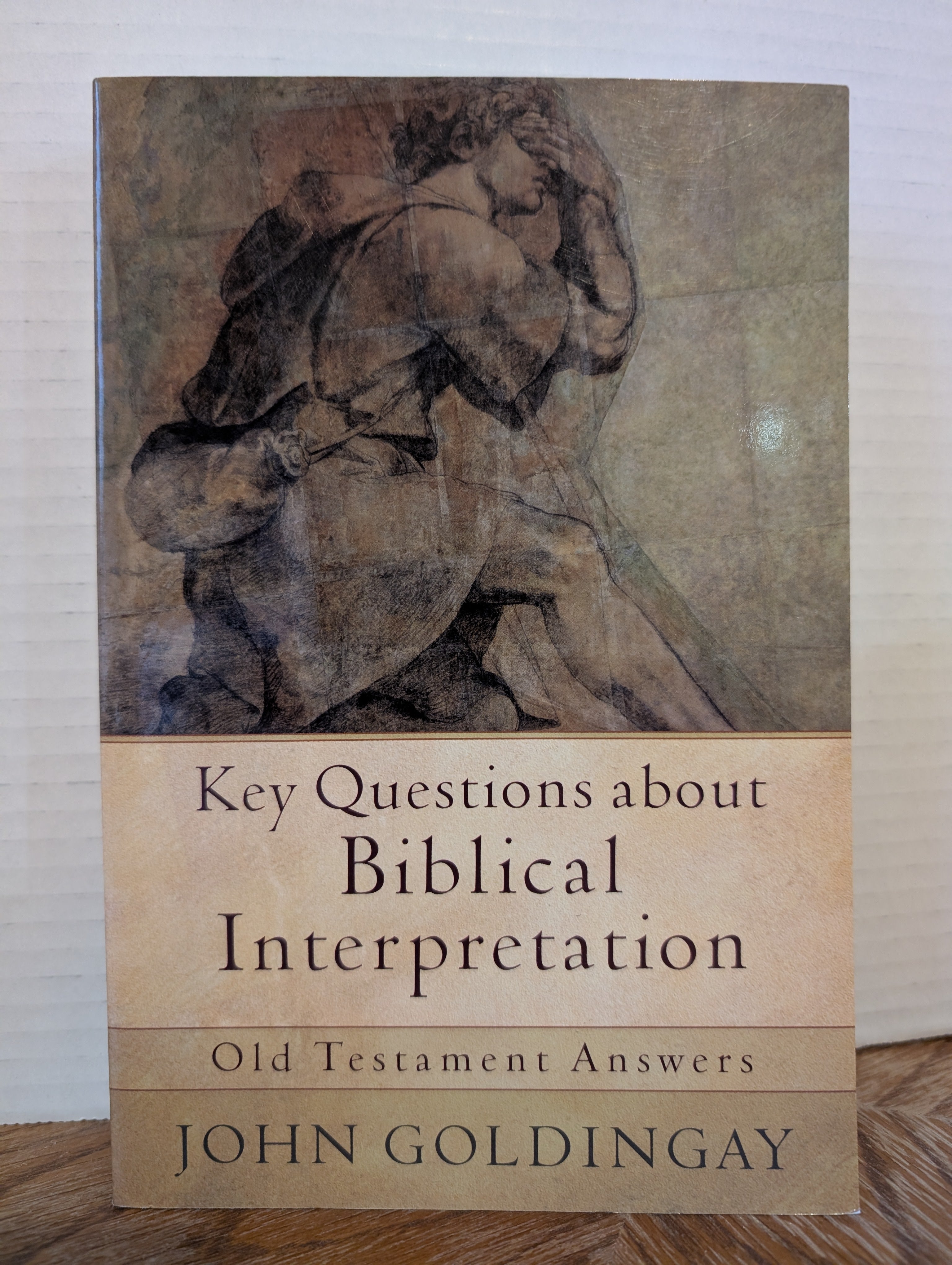 USED - Key Questions about Biblical Interpretation (John Goldingay) - USED