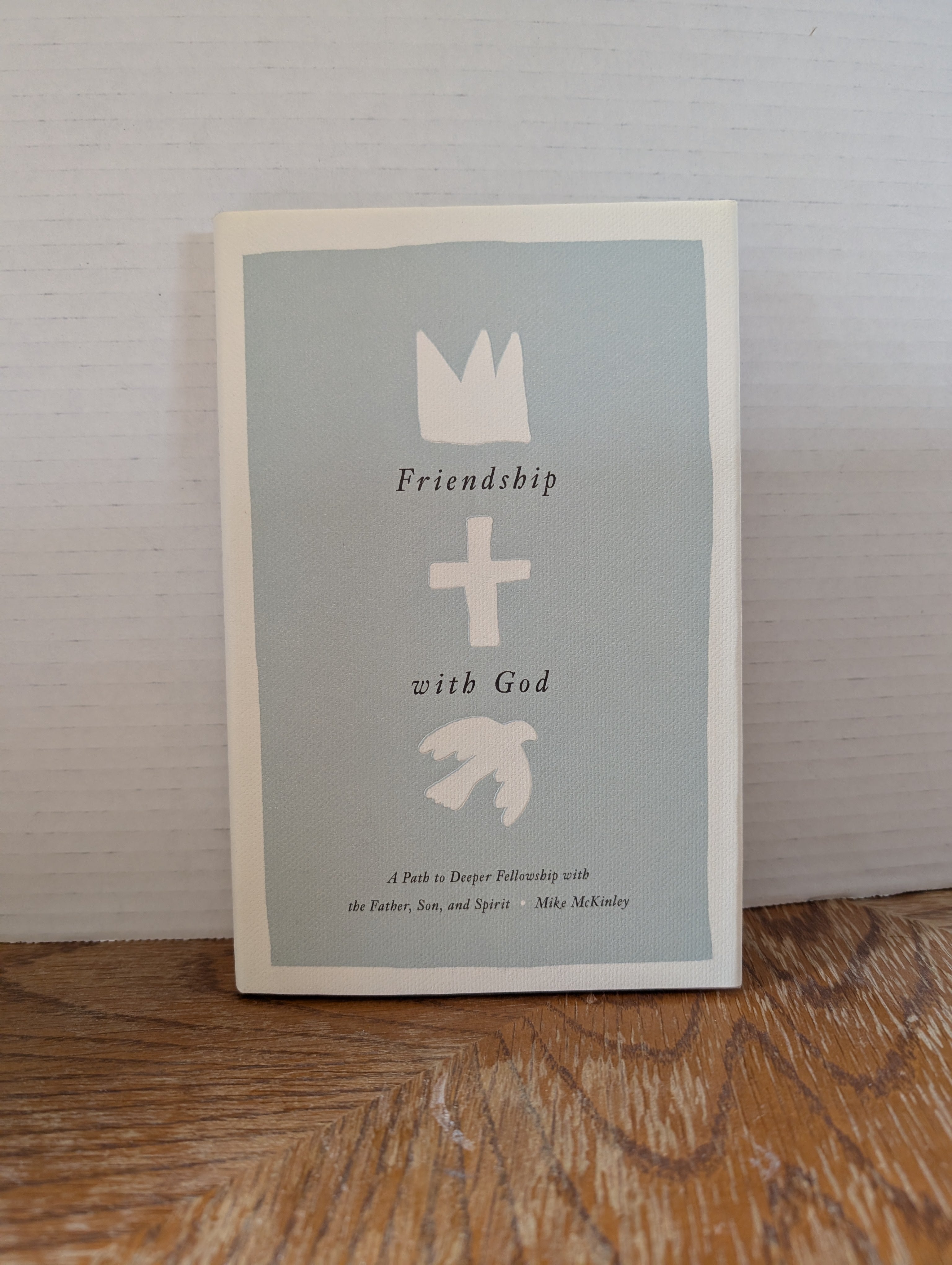 USED - Friendship with God (Mike Mckinly) - USED