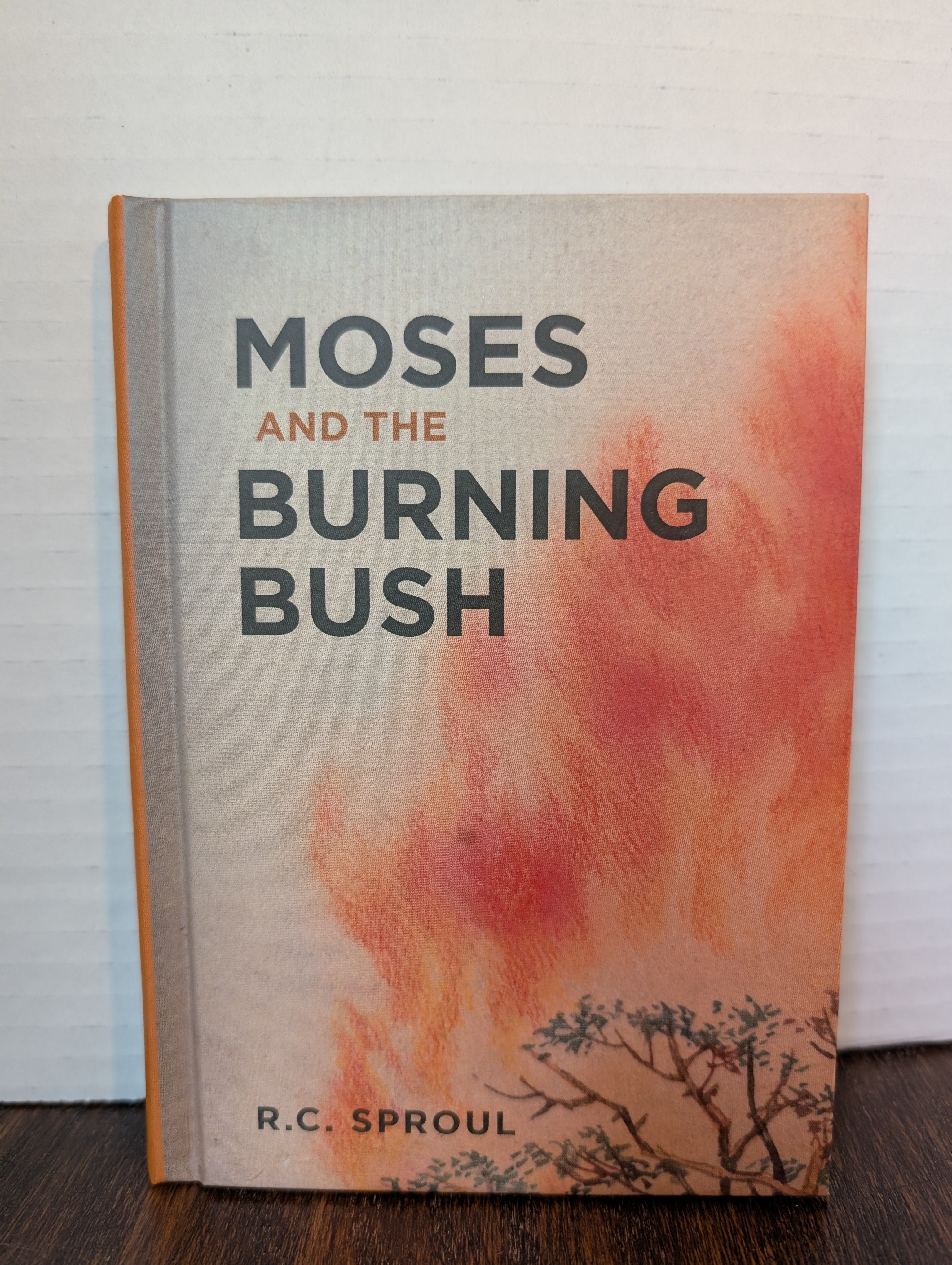 USED - Moses and the Burning Bush (R. C. Sproul) - USED