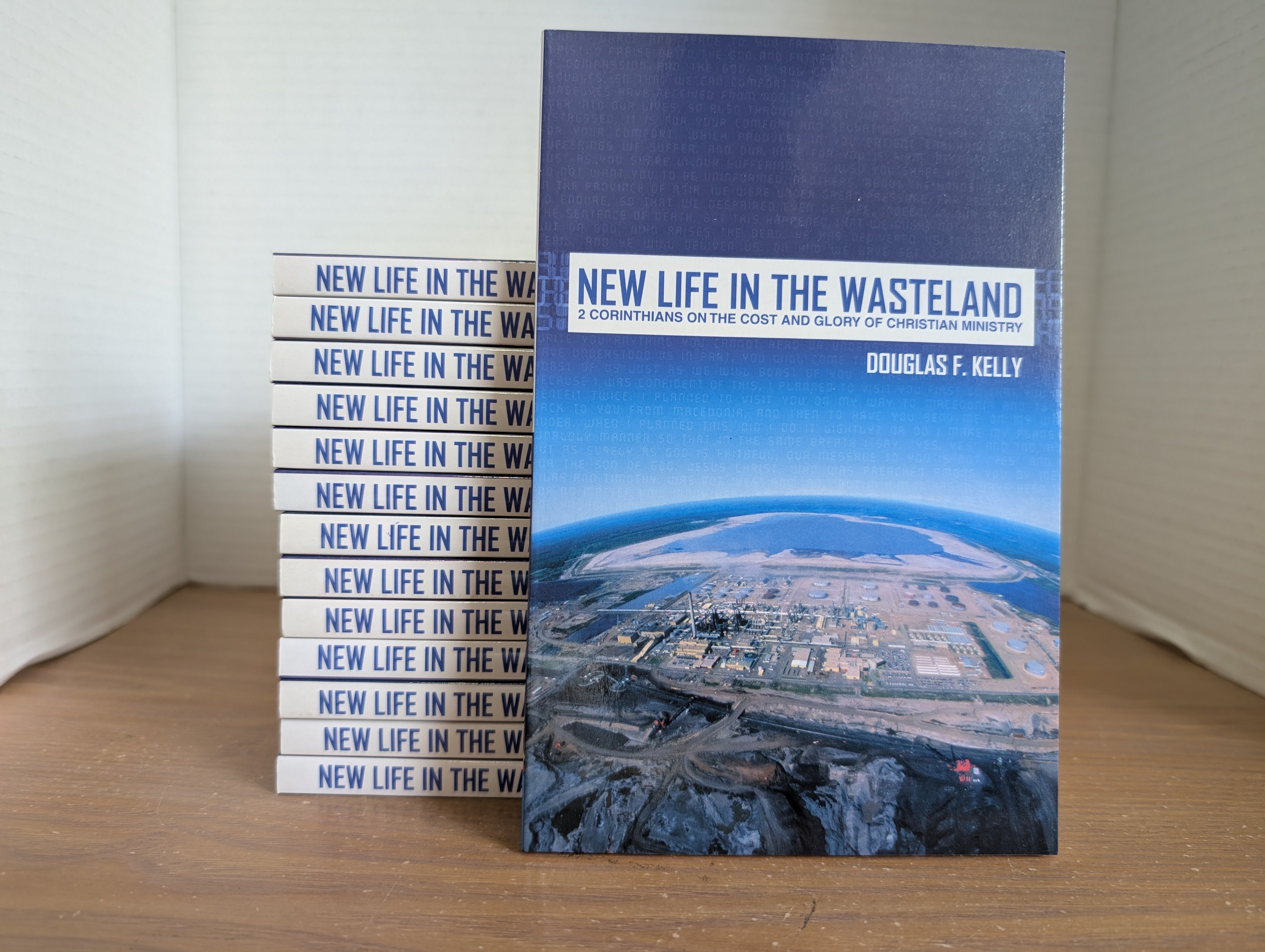USED -  New Life in the Wasteland: 2 Corinthians on the Cost and Glory of Christian Ministry (Kelly)  -  USED