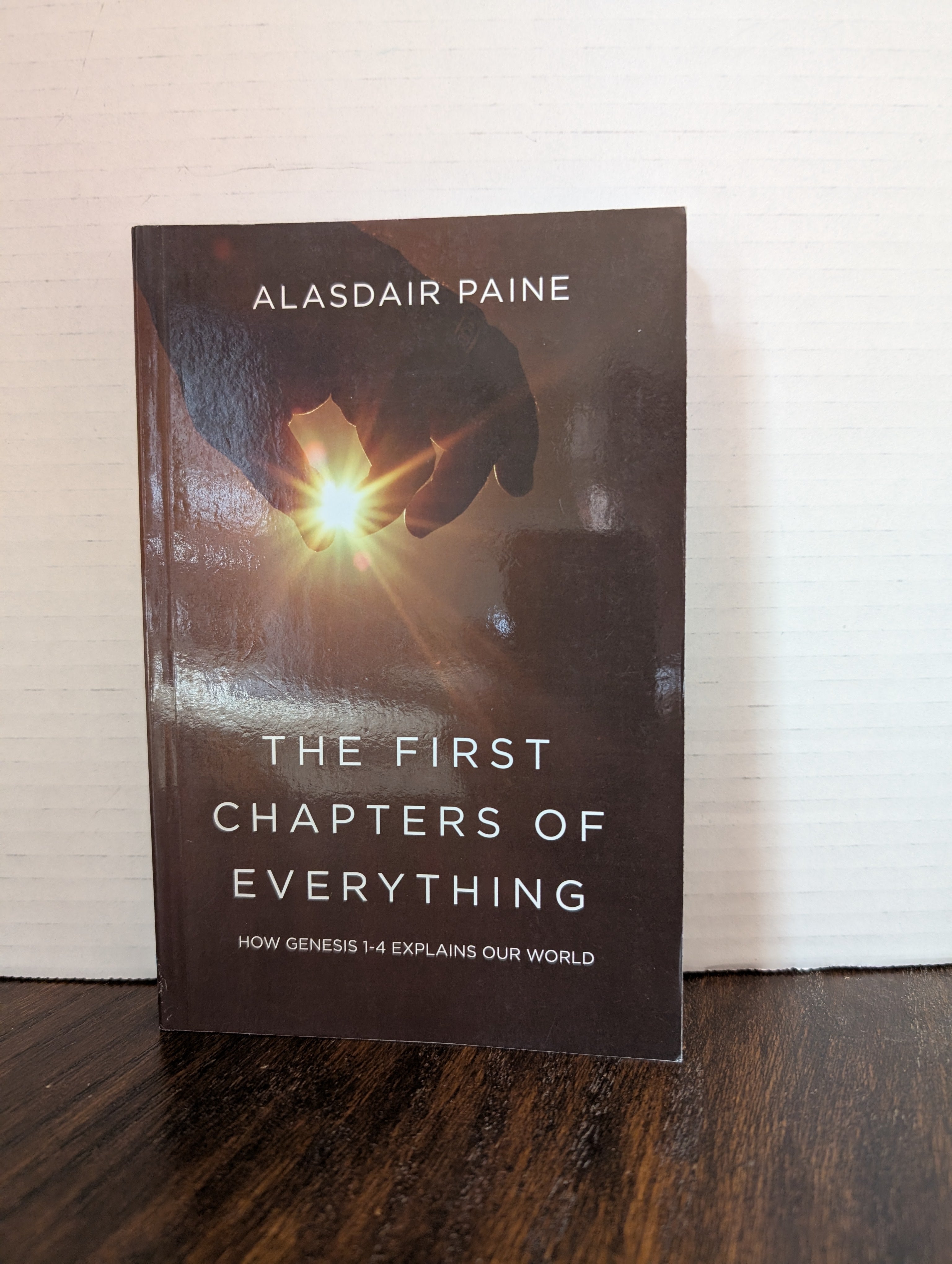 USED - The First Chapters of Everything (Alasdair Paine) - USED