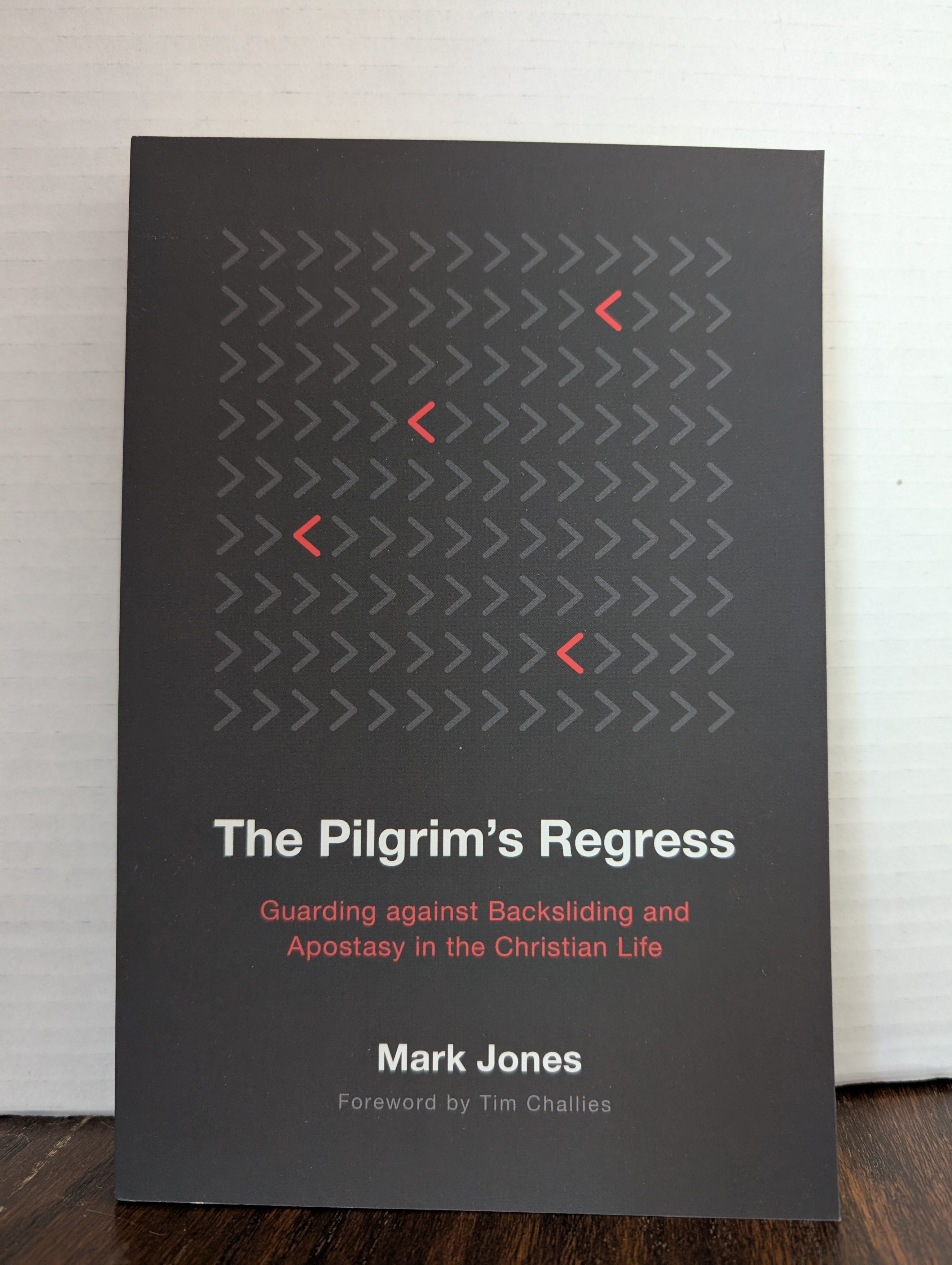 USED - The Pilgrims Regress (Mark Jones) - USED