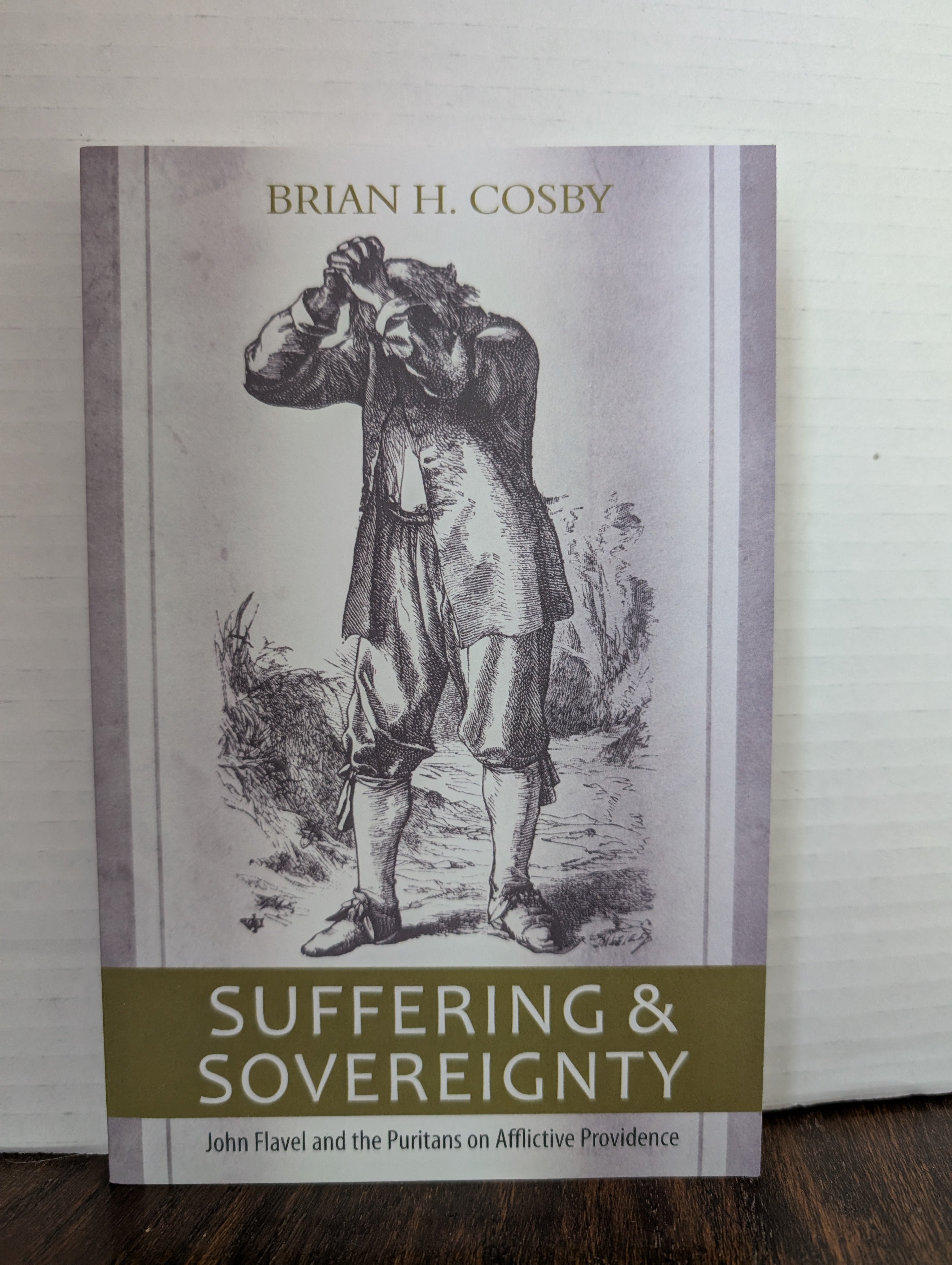 USED - Suffering & Sovereignty (Brian Cosby) - USED