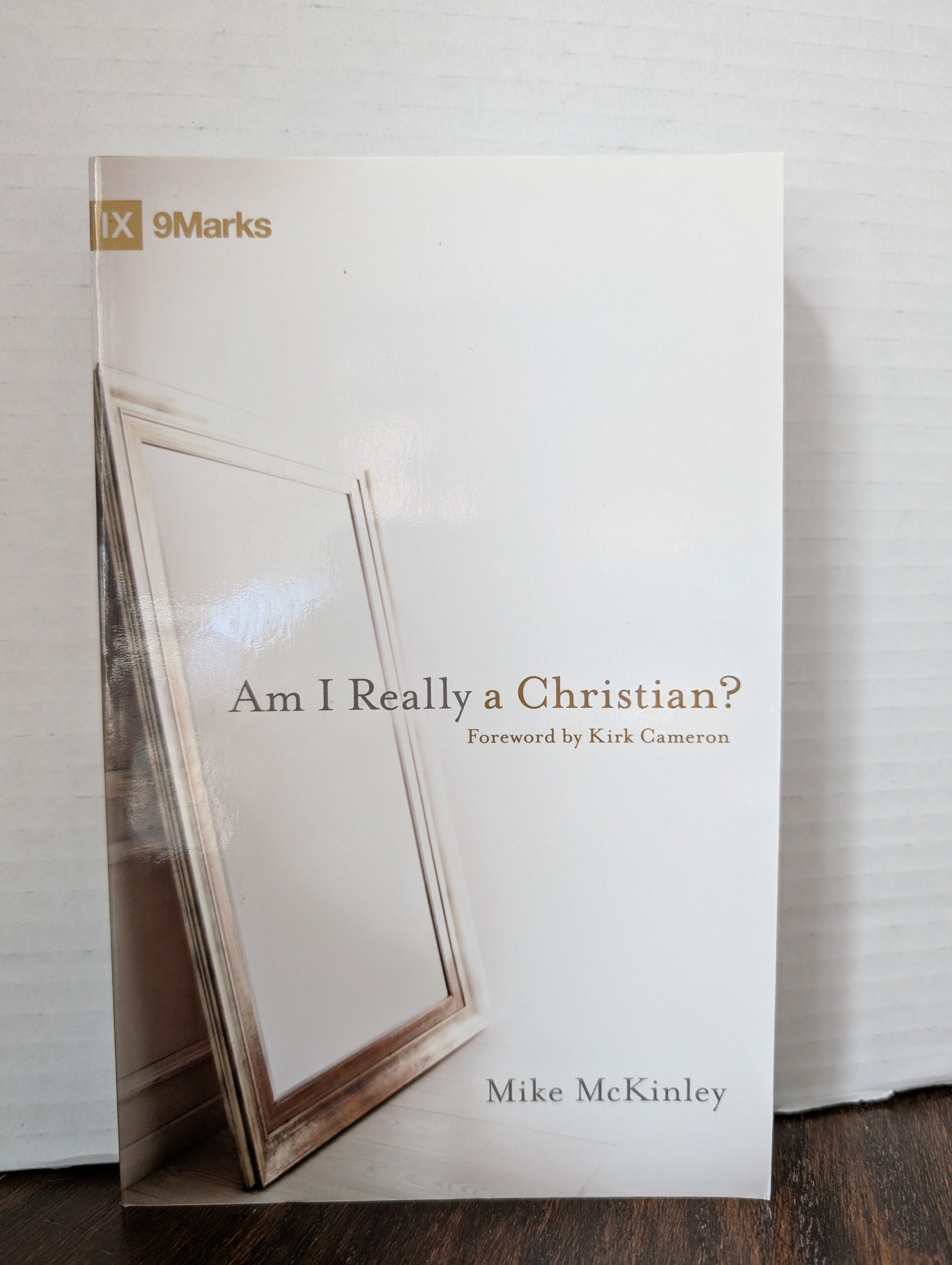 USED - Am I Really a Christian (Mike McKinley) - USED
