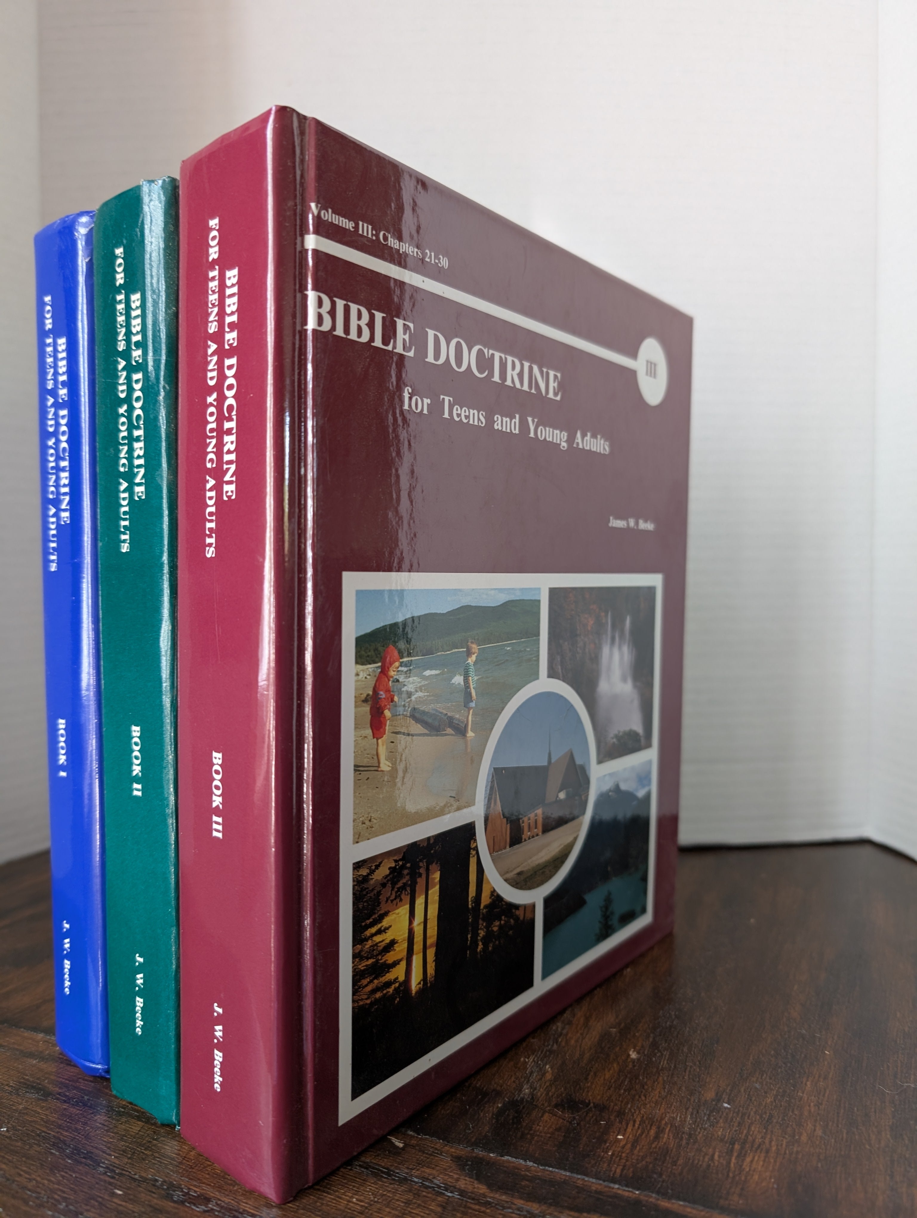 USED - Bible Doctrine for Teens and Young Adults 3 Vol. (James Beeke) - USED