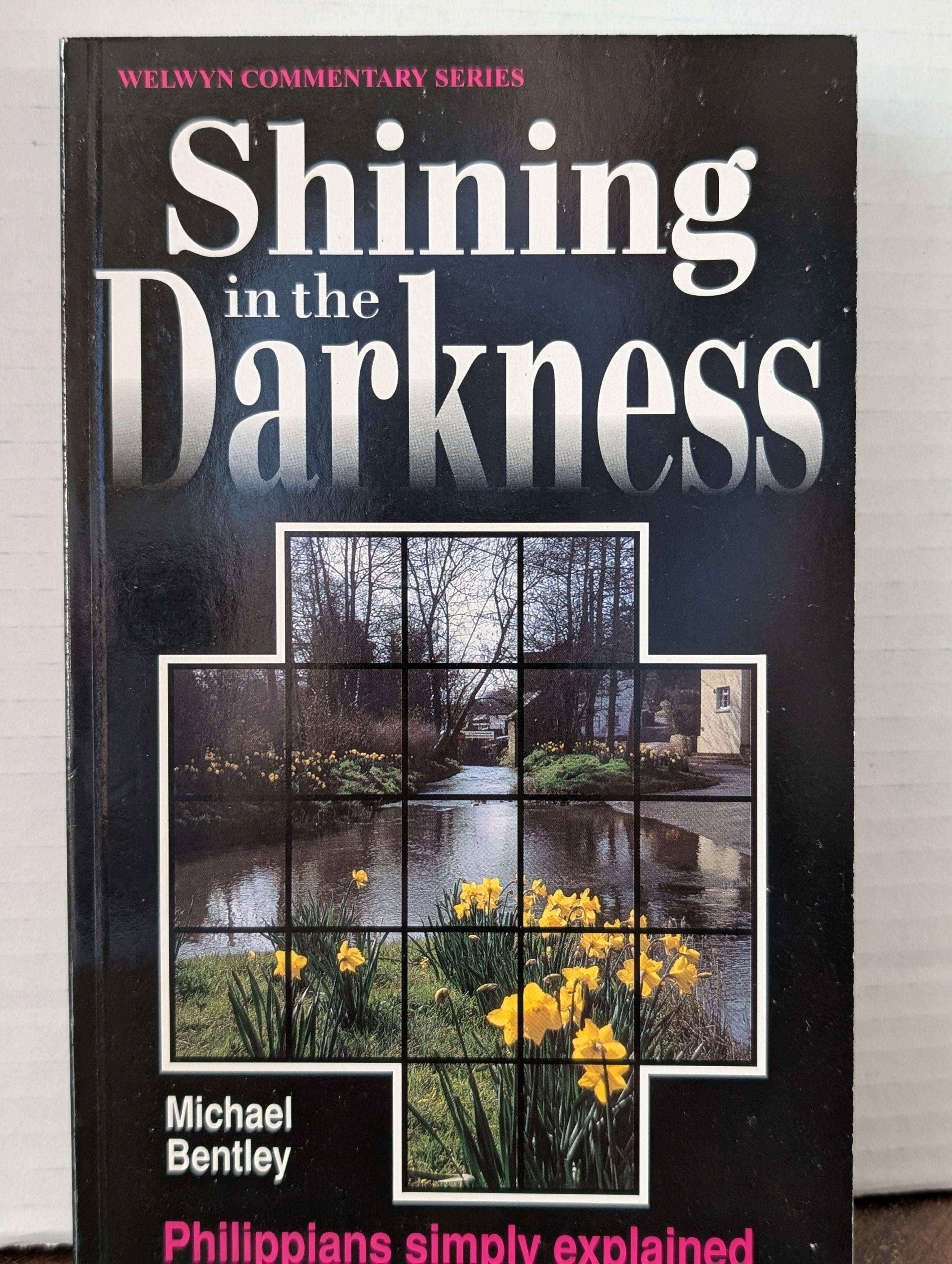 USED - Shining in the Darkness (Michael Bentley) - USED