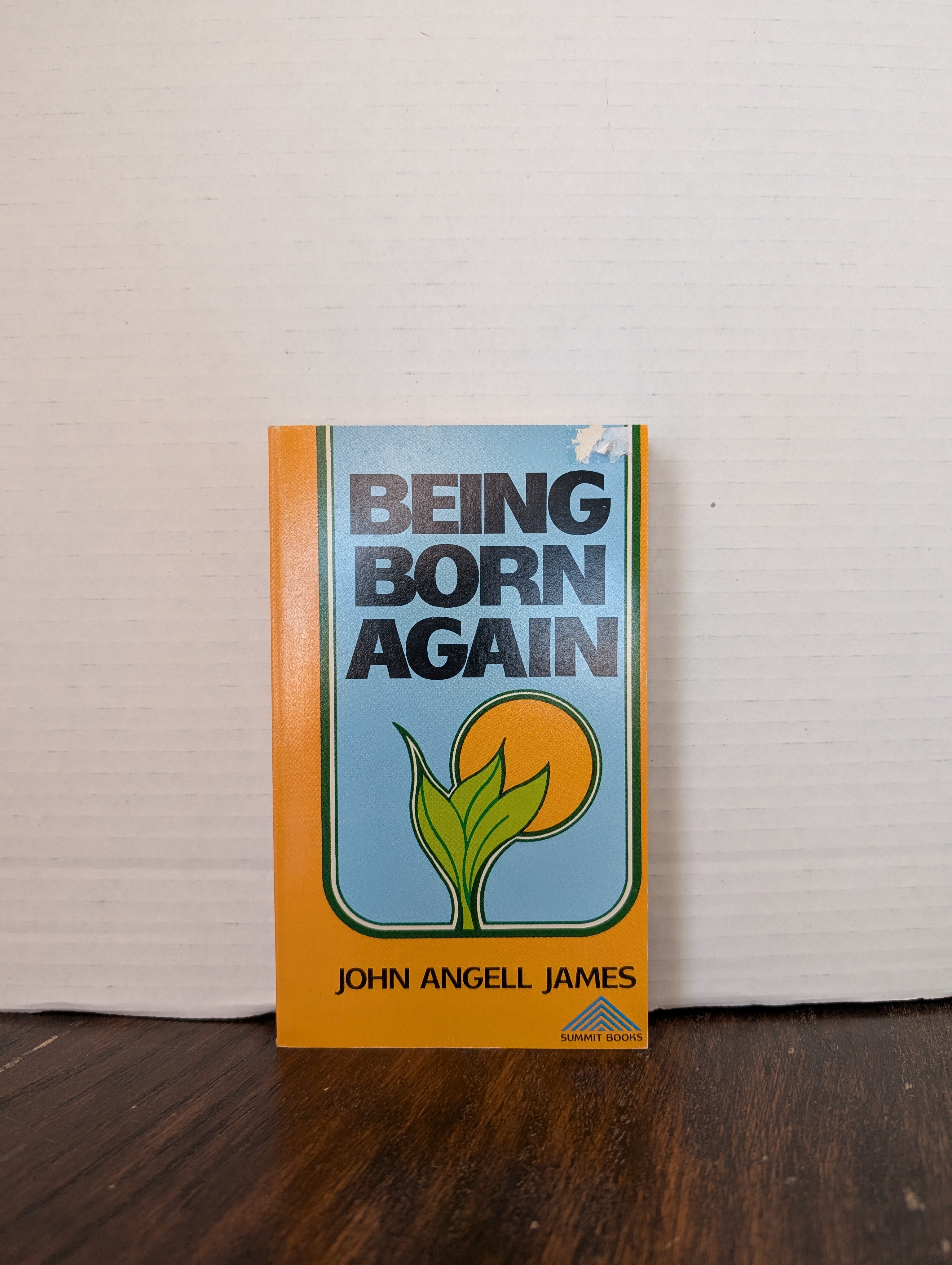 USED - Being Born Again (John Angell James) - USED