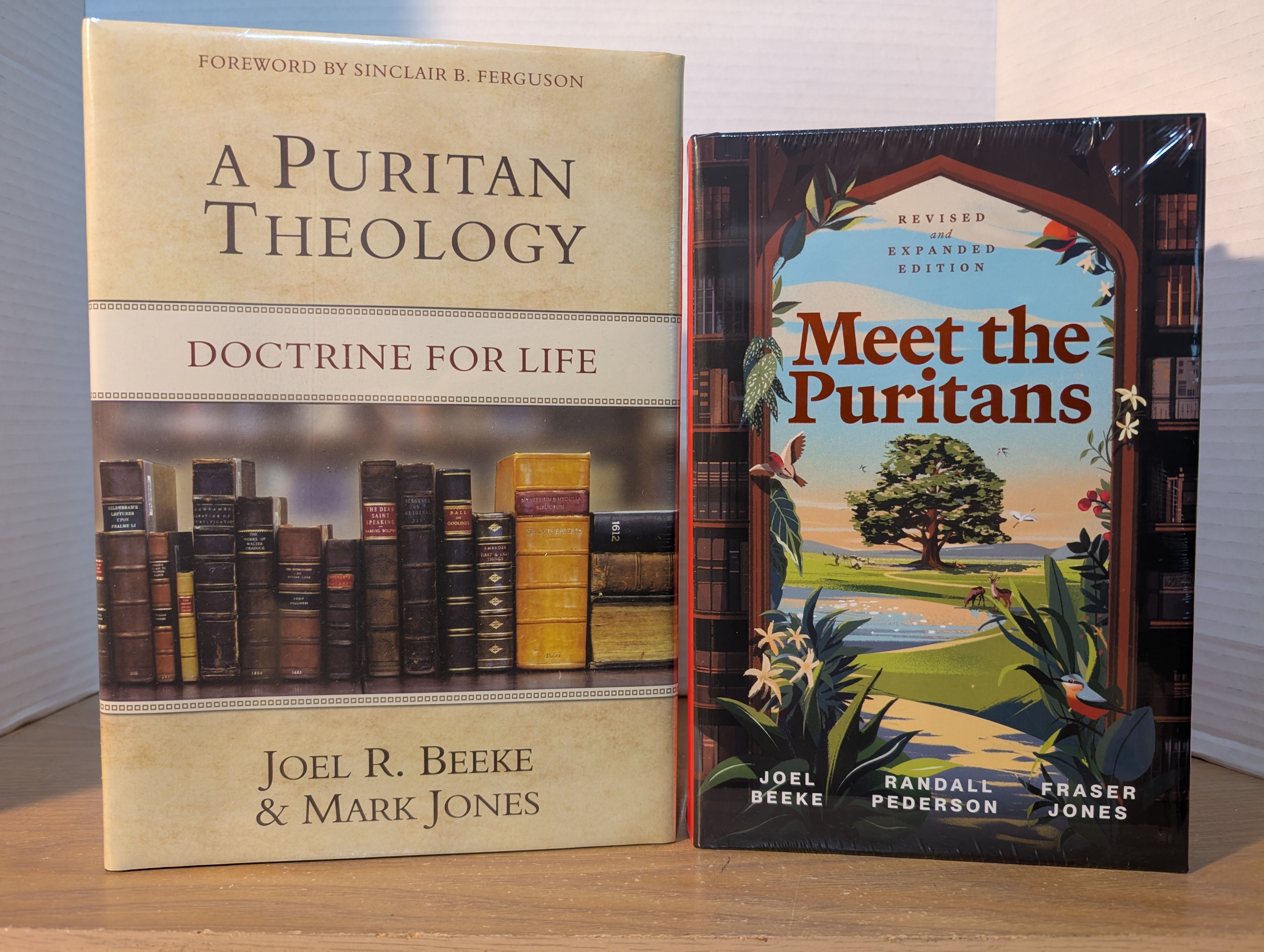 Puritan Bundle -  Puritan Theology and Meet the Puritans (Beeke)