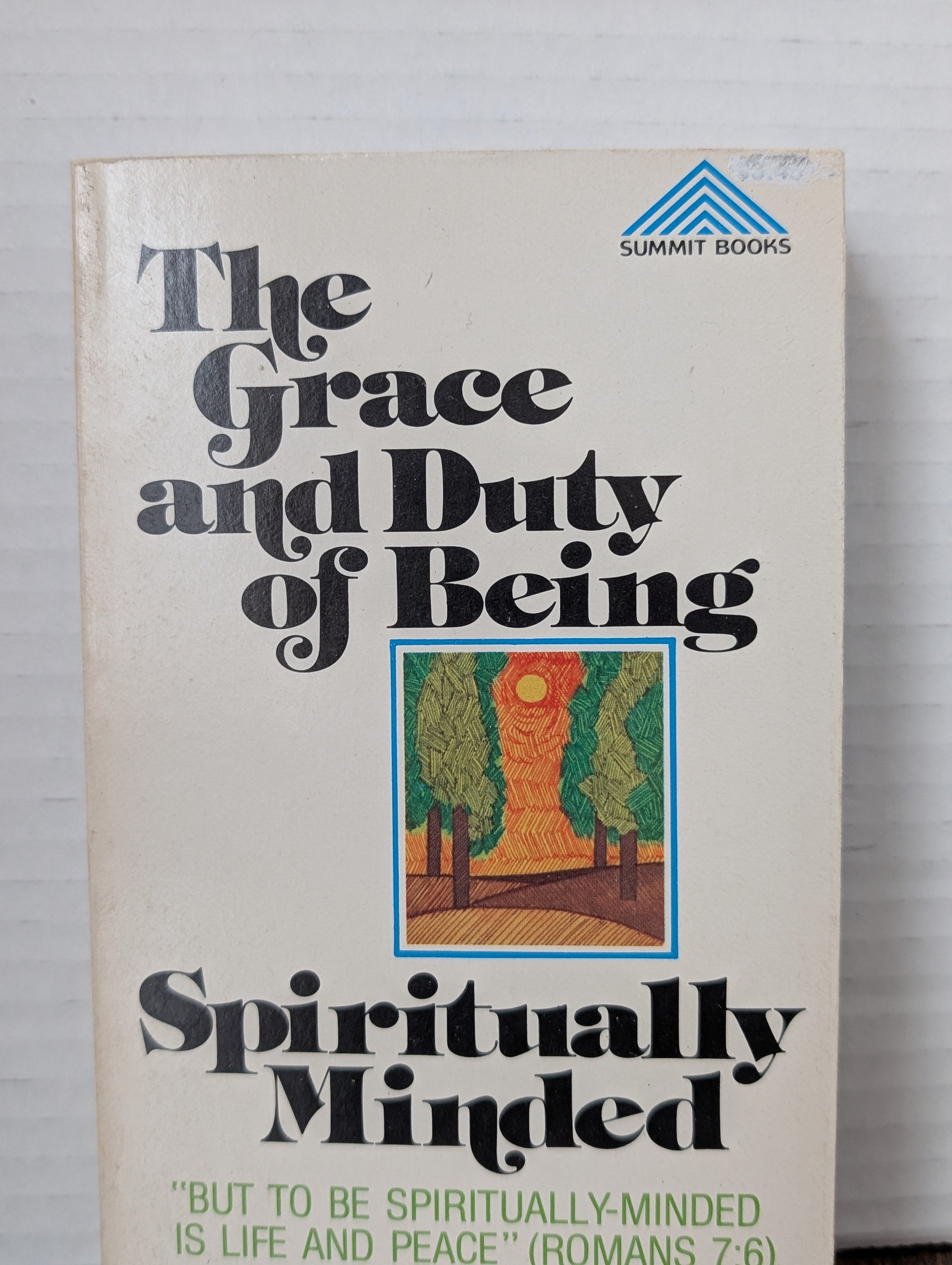 USED - The Grace and Duty of Being Spiritualy Minded (John Owen) - USED