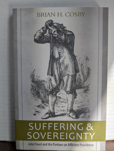 USED - Suffering and Sovereignty (Brian Cosby) - USED
